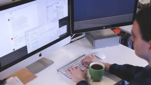 consulente dei software