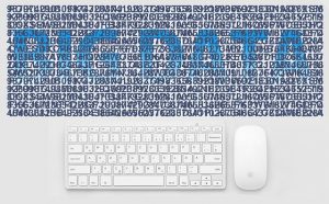 Database clienti in un gestionale officina