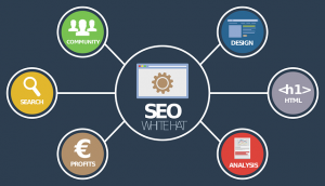 Come funziona un tool SEO